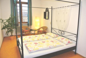 Отель Steffis Hostel Heidelberg  Гейдельберг
